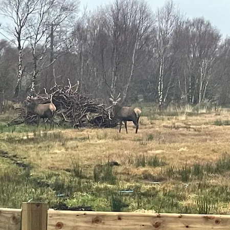 Holiday home Black Antler *